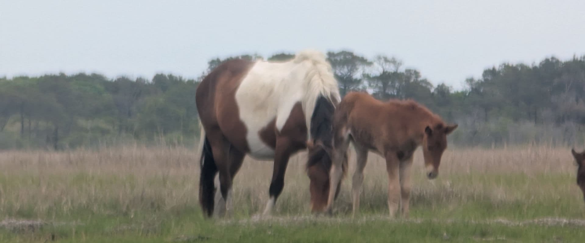 Kayaking on the water