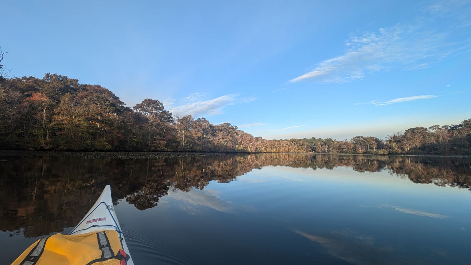 Wildlife You'll Meet on the Pocomoke River