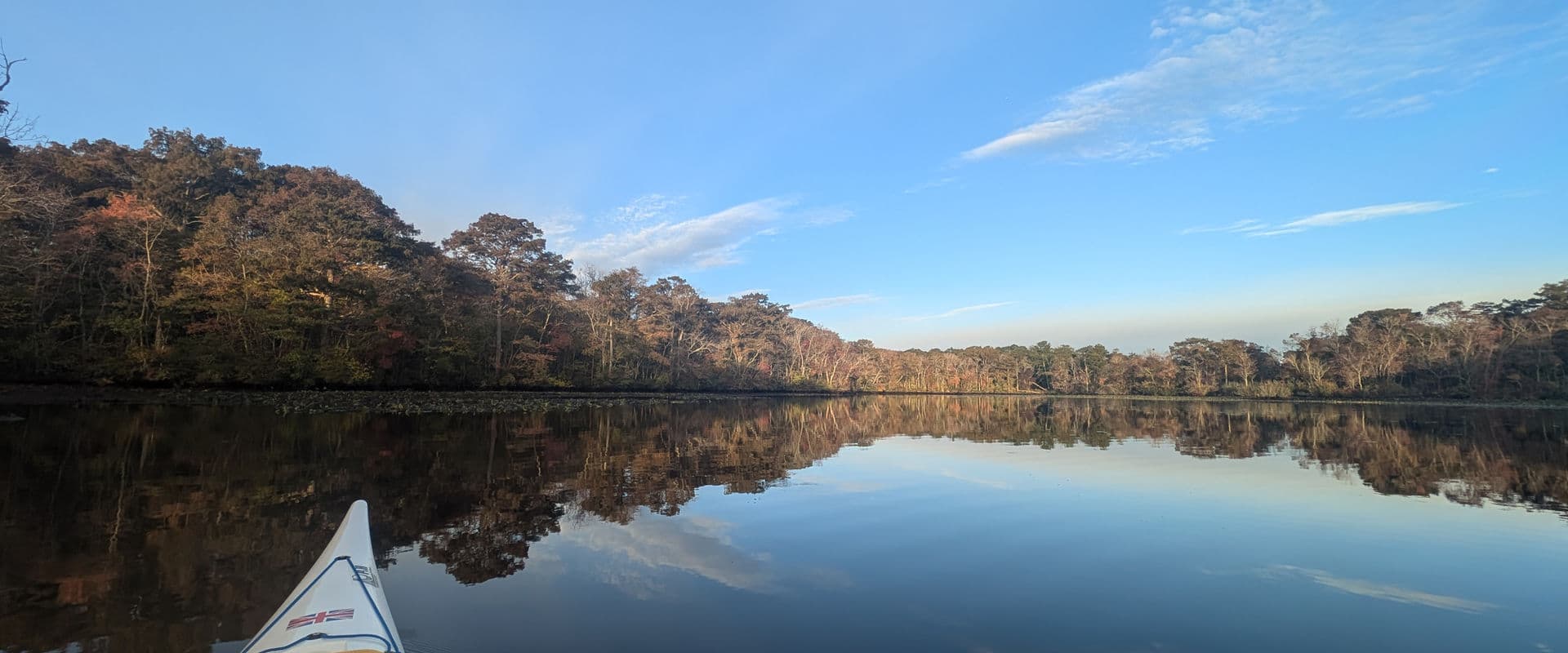 Kayaking through the cypress swamp