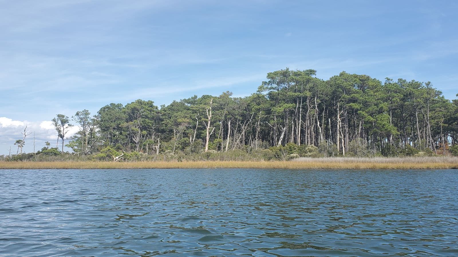 5 Things to Know Before Your First Kayak Eco-Tour