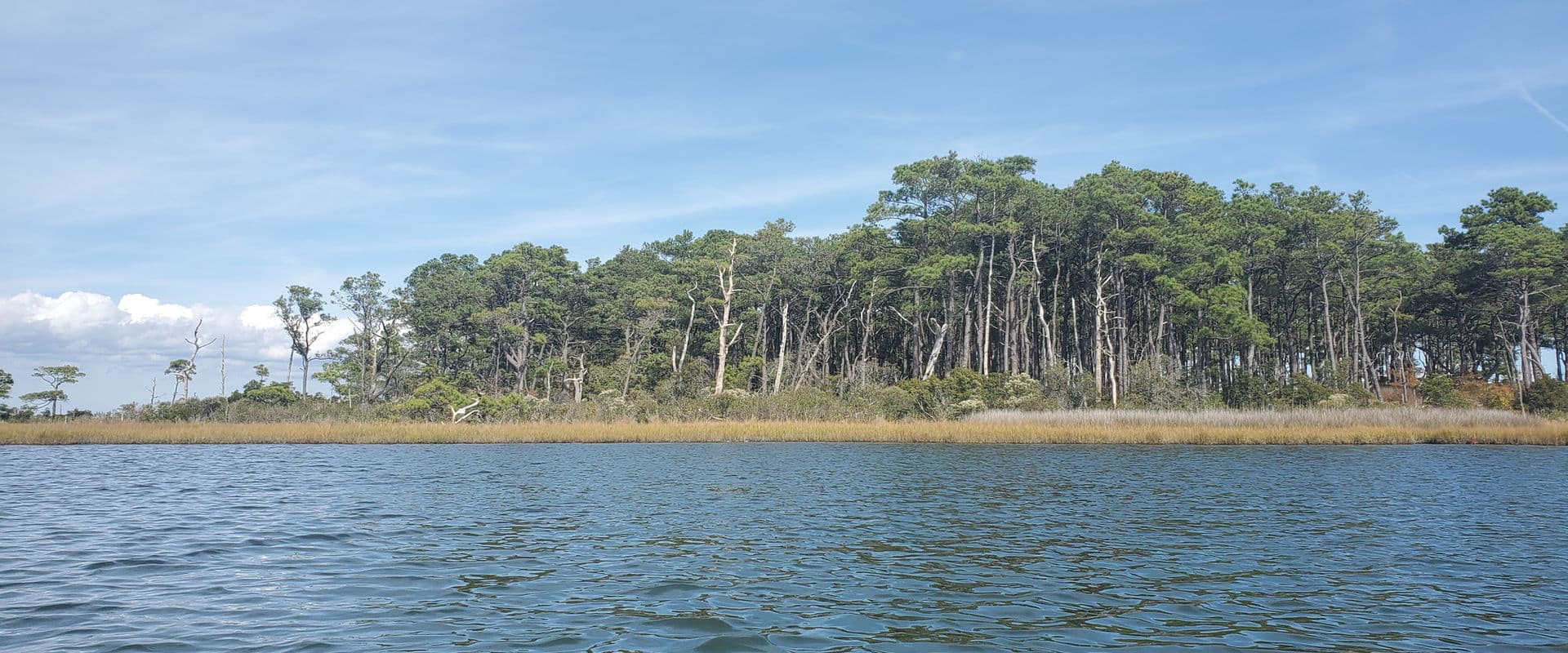 Kayaking on a Maryland salt marsh